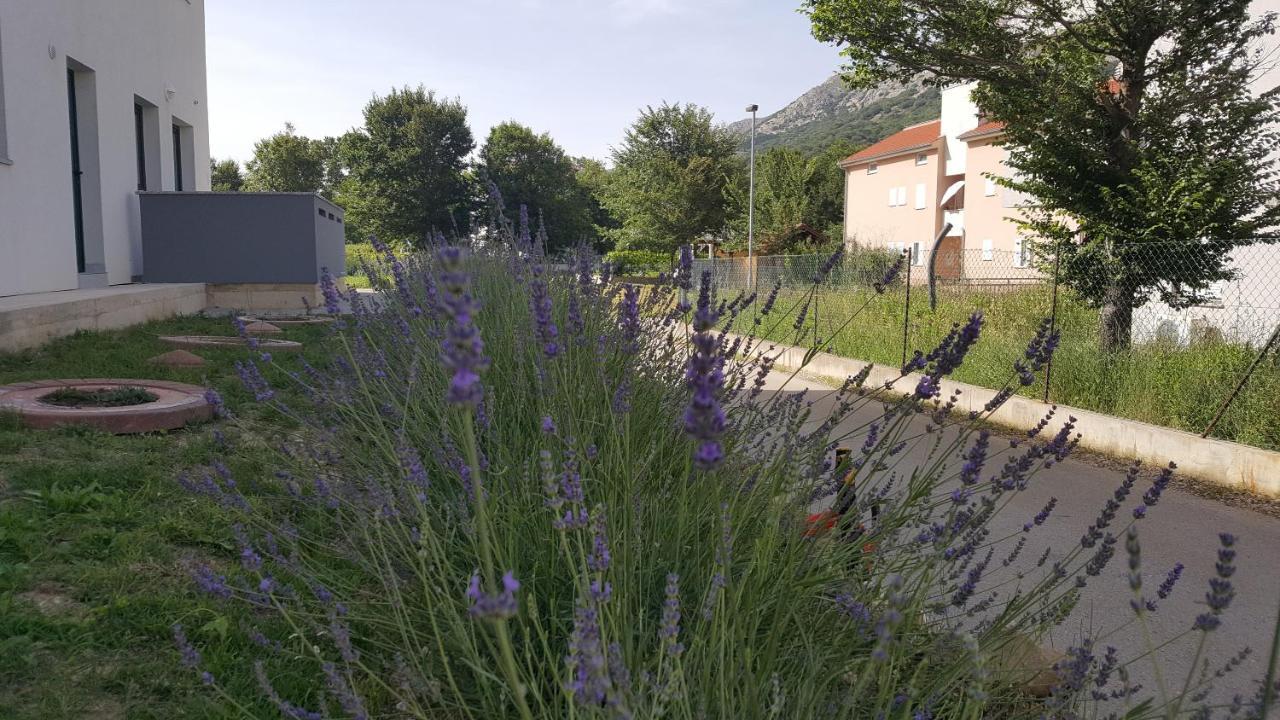 Studios Artemis Baska  Exterior photo